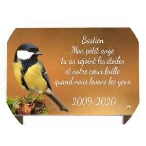 Denaces de Mesena photograph