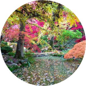 Dendrological Garden in Przelewice