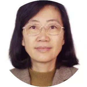 Deng Xiaonan - Professor