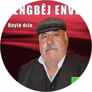 Dengbej Enver - Musical artist