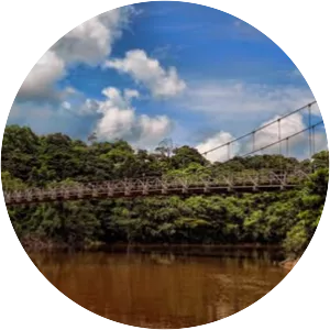 Denham Suspension Bridge - 