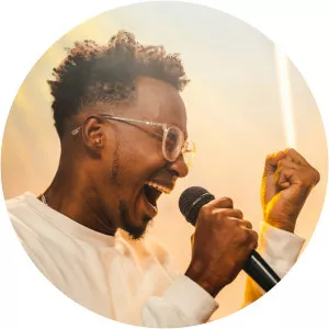 Denicher Pol - Musical artist