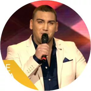 Denis Ibrahimović - Singer