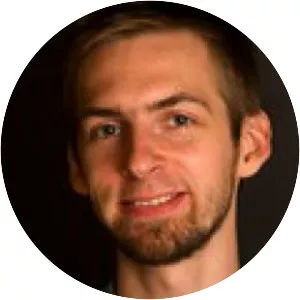 Denis Susin - Musical artist