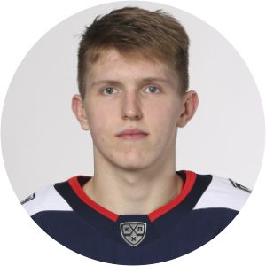 Denis Vengryzhanovsky