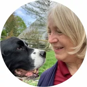 Denise Donohue - Author