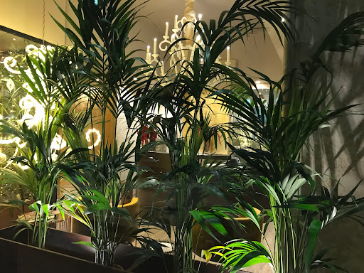 Denise Maison | Centro Estetico e Remise En Forme