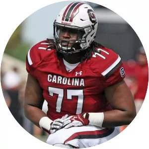 Dennis Daley - American football offensive tackle