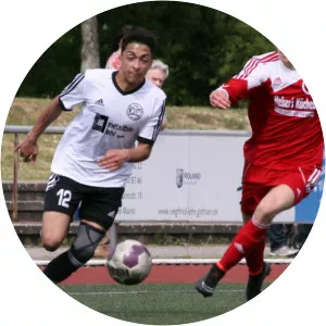 Dennis de Sousa Oelsner