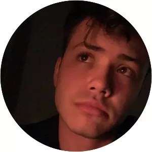 Dennis Gorcea - Musical artist