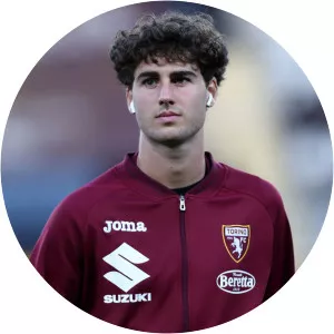 Dennis Stojković - Footballer