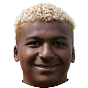 Dennis Wilber Corozo Villalva