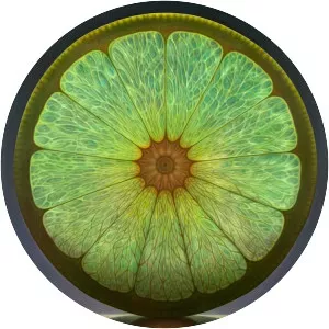 Dennis Wojtkiewicz - Painter