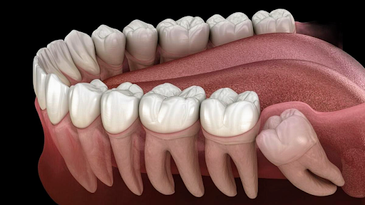 Dental Clinic by Furtak