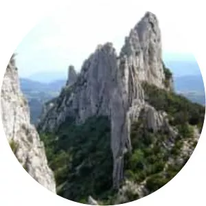 Dentelles de Montmirail