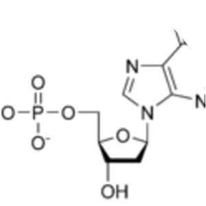 Deoxyguanosine diphosphate - 