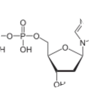 Deoxyguanosine triphosphate - 
