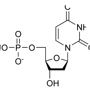 Deoxyuridine monophosphate - 