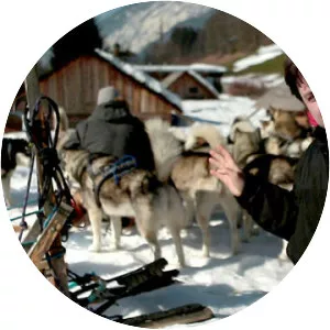 Der Hundeprofi unterwegs - TV program