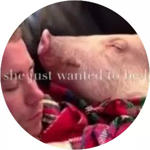 Derek Walter photograph