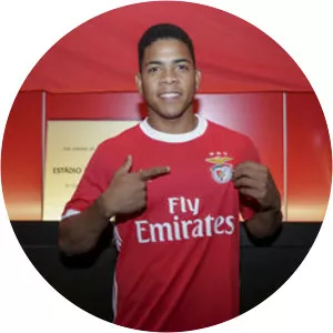 Derlis Joel Mereles Mora