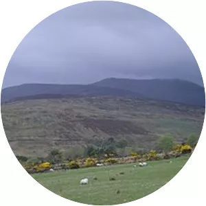 Derrynasaggart Mountains