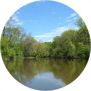 Des Plaines River - 