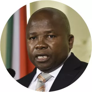 Des van Rooyen