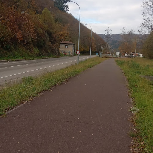 Desbroces.de montes y jardines - 