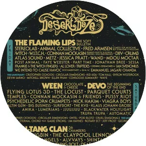 Desert Daze - Music Festival