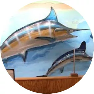 Destin History & Fishing Museum