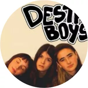 Destroy Boys - Rock band