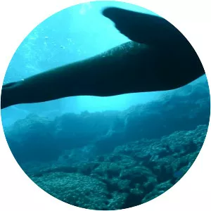 Desventuradas Islands