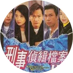 Detective Investigation Files II