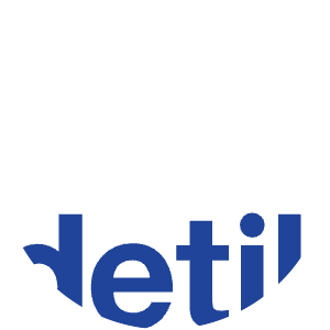 Detik Network