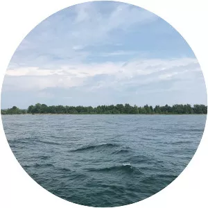 Detroit Island