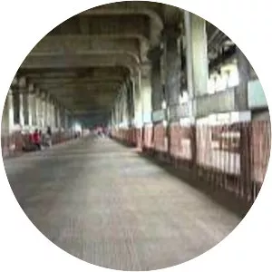 DetroitSuperior Bridge