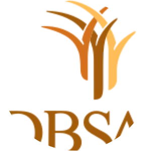 Development Bank of Southern Africa