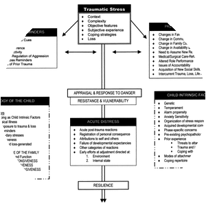 Developmental psychopathology