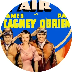 Devil Dogs of the Air