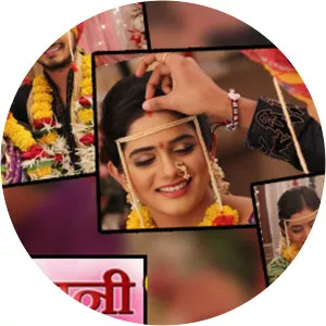 Devyani... Ekka Raja Rani2012 – 2016