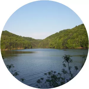 Dewey Lake - Lake in Kentucky