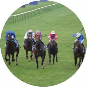 Dewhurst Stakes - 