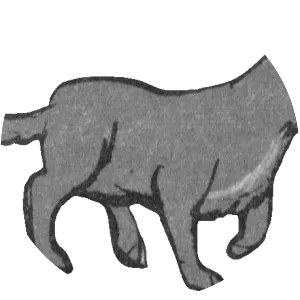 Dewspring - Fictional character