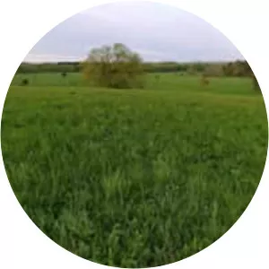 Dexter Drumlin Reservation - 