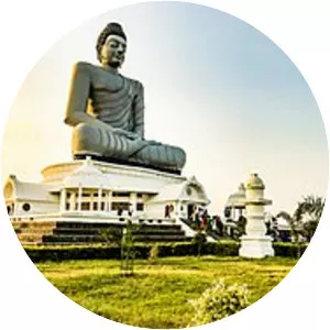 Dhyana Buddha Statue - 