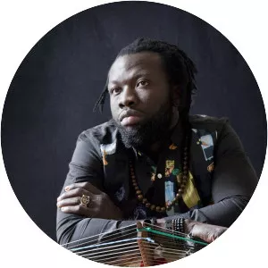 Diabel Cissokho - Musical artist