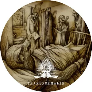 Diagnose: Lebensgefahr