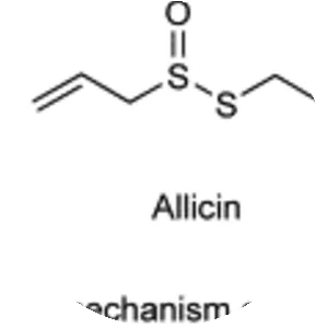 Diallyl disulfide - Chemical compound