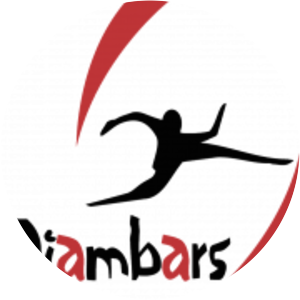 Diambars FC photograph